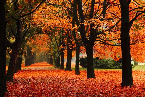 Herfst 2 2026